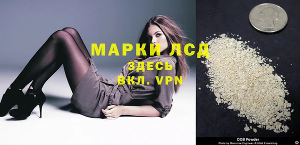 индика Нязепетровск