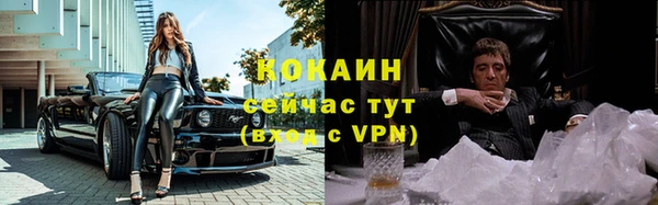 сатива Няндома
