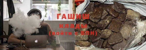 сатива Няндома