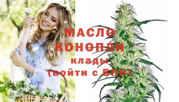 индика Нязепетровск