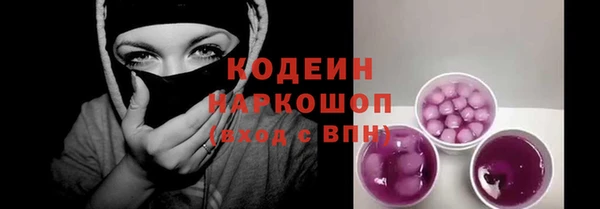 индика Нязепетровск