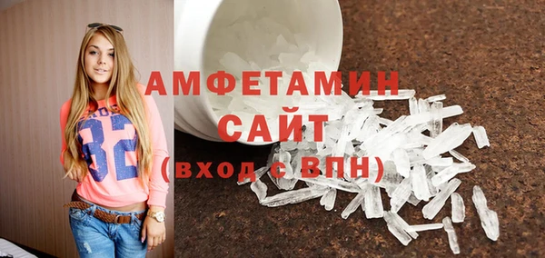 сатива Няндома