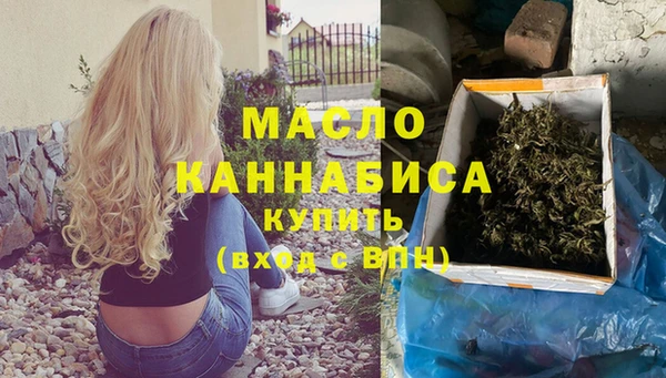 индика Нязепетровск