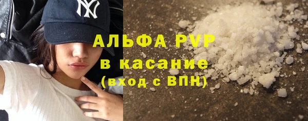 сатива Няндома