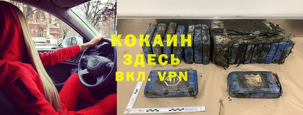 сатива Няндома