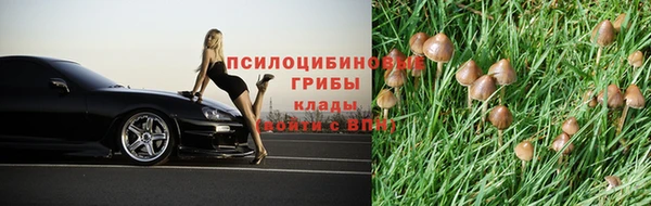 сатива Няндома