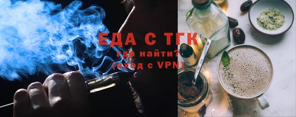 индика Нязепетровск