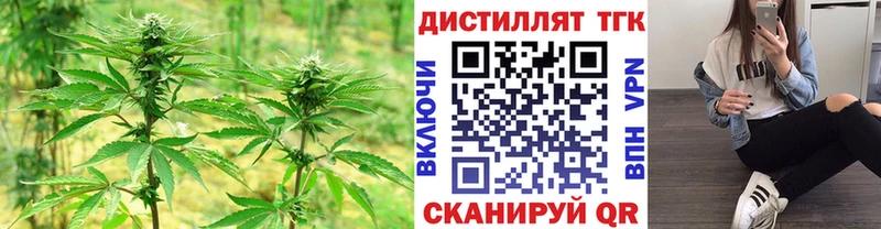 купить наркотик  Зеленокумск  Дистиллят ТГК Wax 