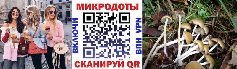 ссылка на мегу сайт  Зеленокумск  Галлюциногенные грибы MAGIC MUSHROOMS 