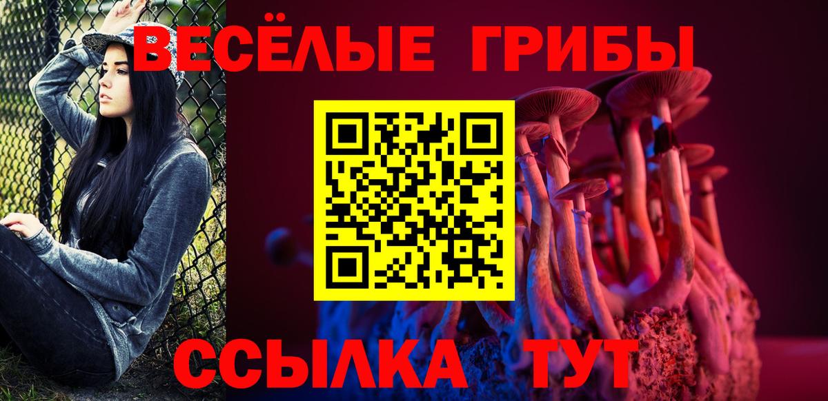 Галлюциногенные грибы прущие грибы Зеленокумск