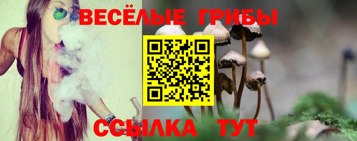 Галлюциногенные грибы ЛСД  Псилоцибиновые грибы Cubensis  купить наркотик  Вход с VPN  Зеленокумск 